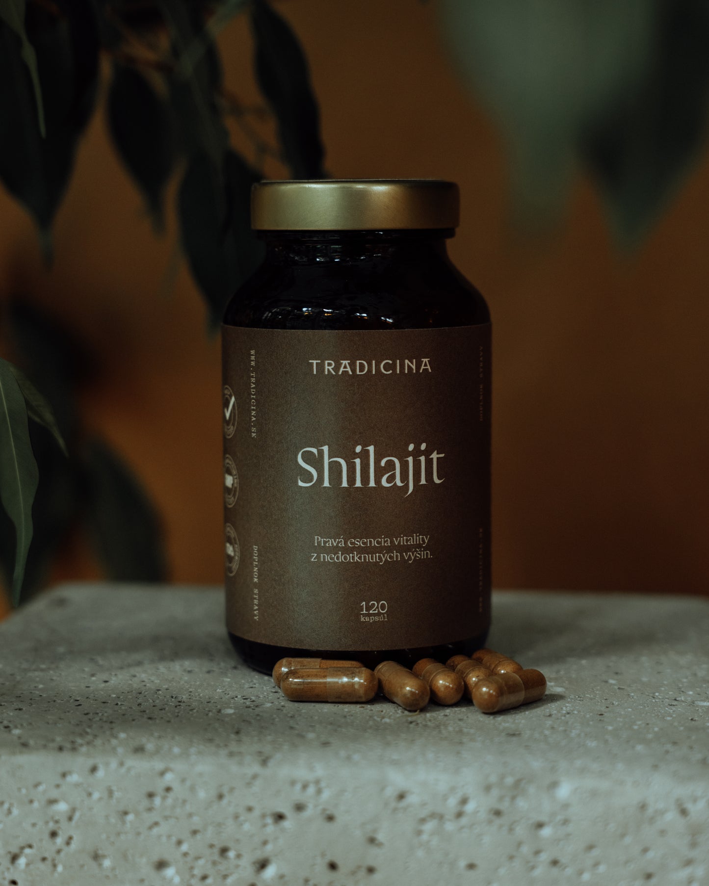 SHILAJIT V KAPSULIACH