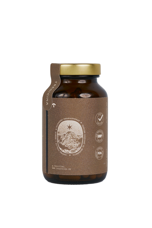 SHILAJIT V KAPSULIACH