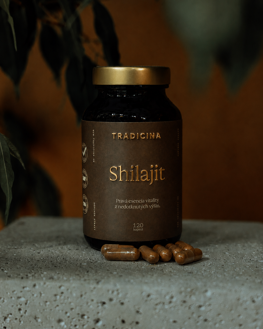 SHILAJIT IN CAPSULES